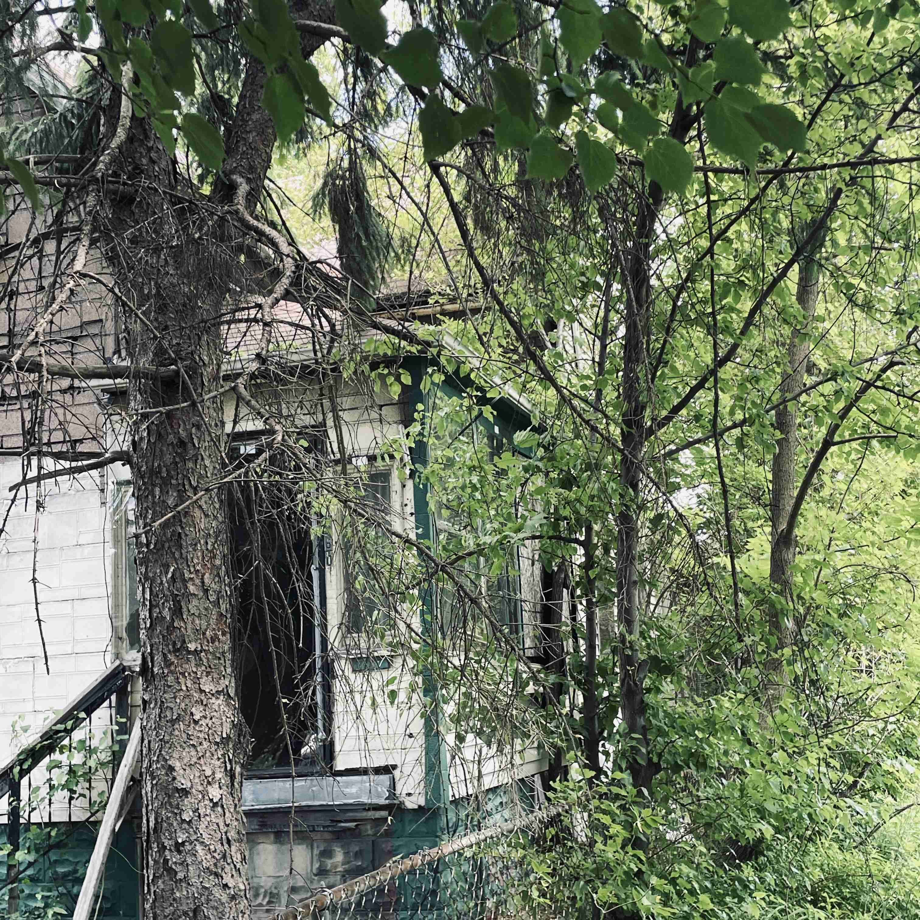 1060 Meldrum (9).jpg